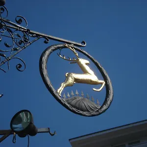Otel Goldener Hirsch